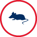 Mice Icon